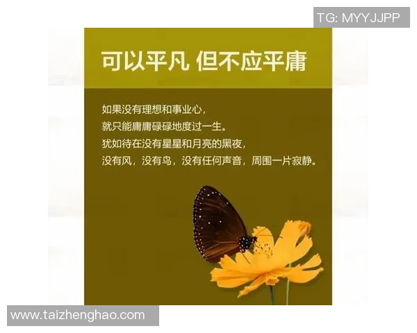 李添荣的奋斗历程与人生哲学探讨:从平凡到卓越的心路历程
