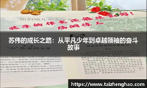 苏伟的成长之路：从平凡少年到卓越领袖的奋斗故事