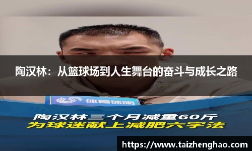 陶汉林：从篮球场到人生舞台的奋斗与成长之路