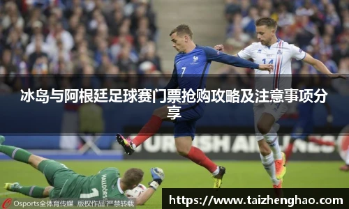 冰岛与阿根廷足球赛门票抢购攻略及注意事项分享